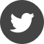 twitter Twitter